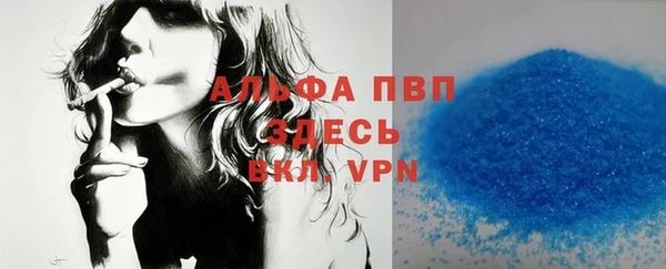 индика Сатка