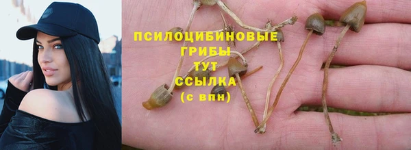 2c-b Сафоново