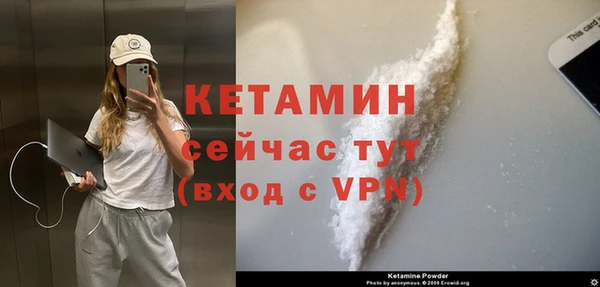стаф Дубна
