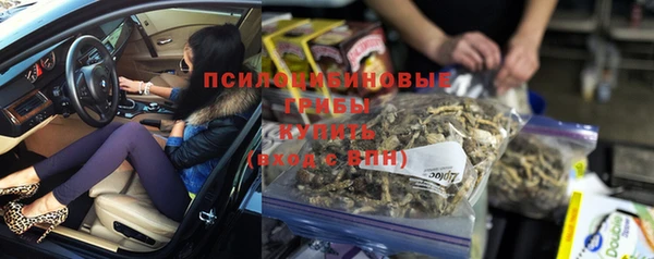 ГАЛЛЮЦИНОГЕННЫЕ ГРИБЫ Арсеньев